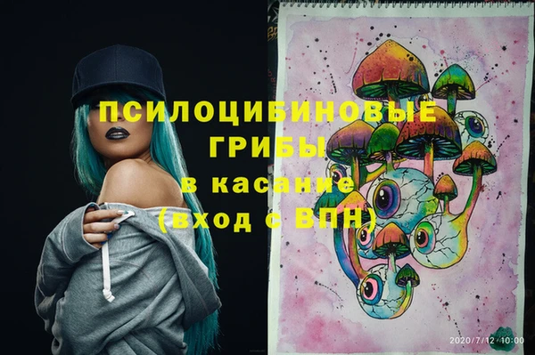 сатива Армянск