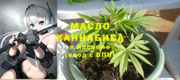 сатива Армянск