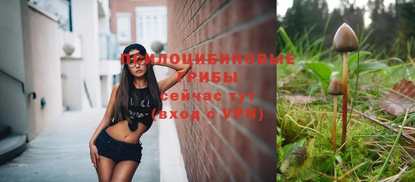 прущие крисы Протвино