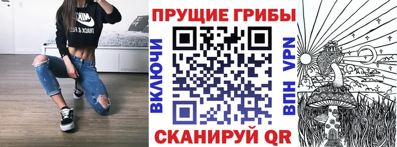 Галлюциногенные грибы Magic Shrooms  Ртищево 